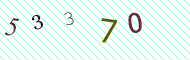 CAPTCHA code